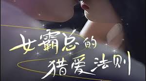 女霸总的l爱法则